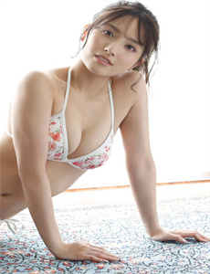 神奇动物在哪里 （国语版）