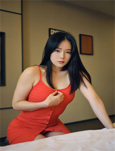 巡梦行者